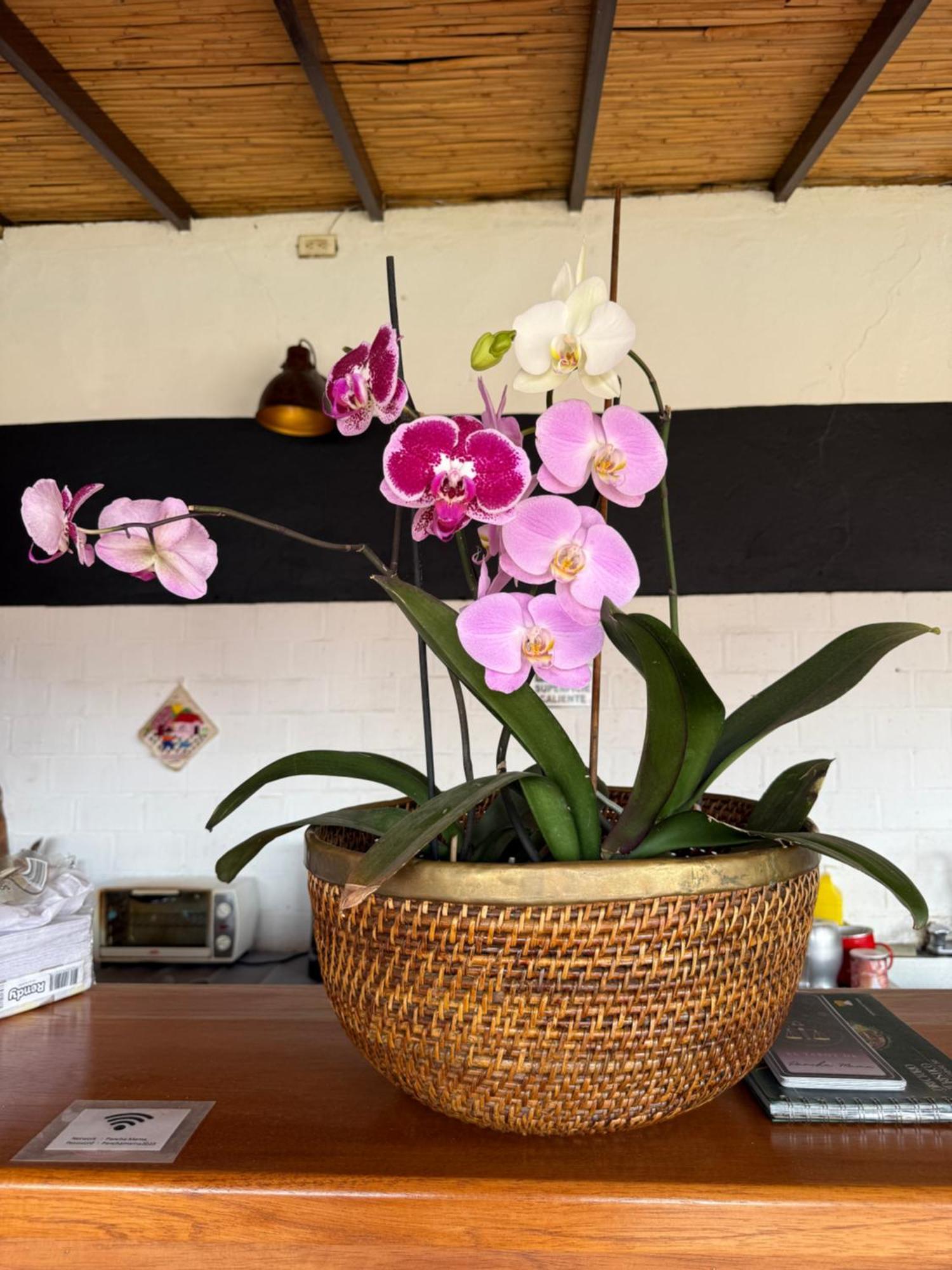 Pancha Mama Hotel Boutique Villa de Leyva Exteriör bild